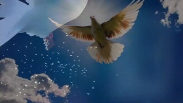 Верните тех кого забрали небеса смотреть онлайн