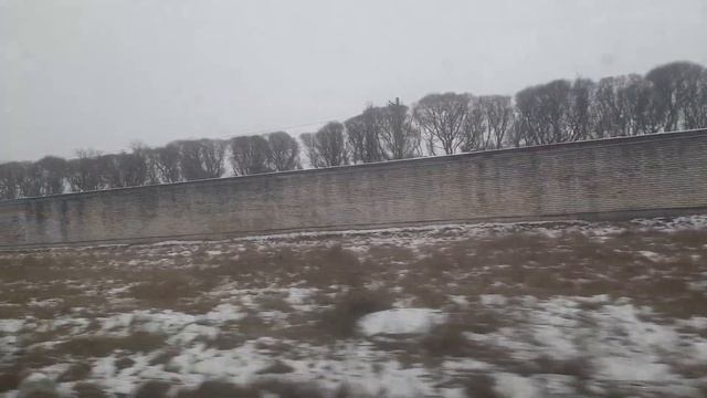 Автобус 89. Ул. Стойкости - Ст. м. Проспект Ветеранов