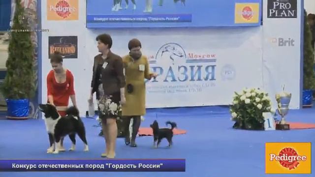 Евразия 2 - 2014 смотреть онлайн