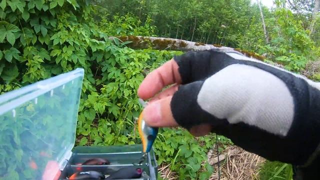 И снова река, комары, щуки, язь и голавль. смотреть онлайн