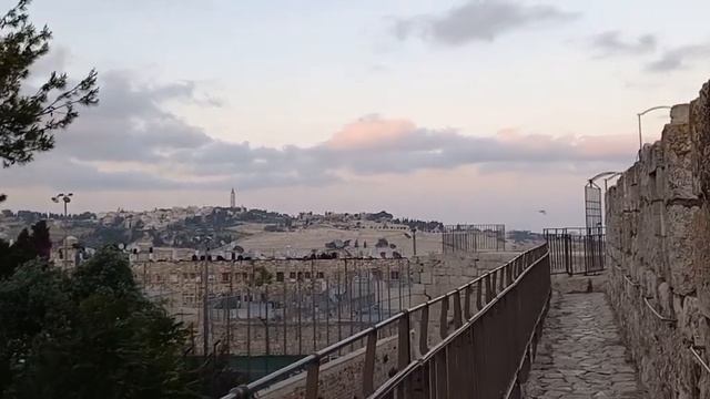 День Иерусалима со стен Старого города, от Яфских до Мусорных ворот. смотреть онлайн