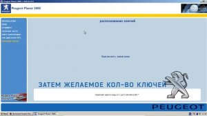 Как привязать ключ в Пежо 406 #peugeout #peugeot406