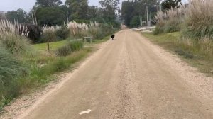 Какие налоги нужно платит в Уругвае 2? | миграция в Уругвай | #уехатьизроссии #уругвай #иммиграция