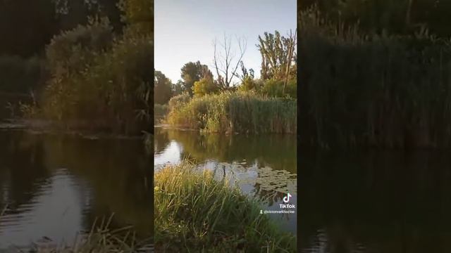Рыбалка и детская зависимость... смотреть онлайн