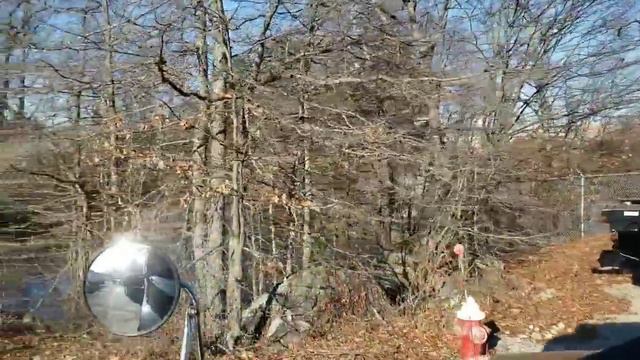 Дальнобой США из мэрилэнд в масачюсец но возвращаюсь 90 миль за подгрузкой . смотреть онлайн