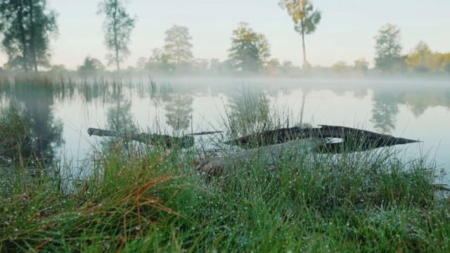 Релакс музыка Beautiful Piano Music смотреть онлайн