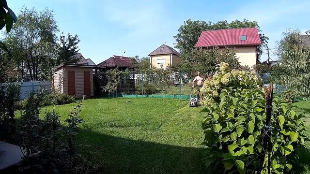 СЪЕМКА со ШТАТИВА - ОПРОБОВАЛИ ШТАТИВ на ПОКОСЕ ))) смотреть онлайн