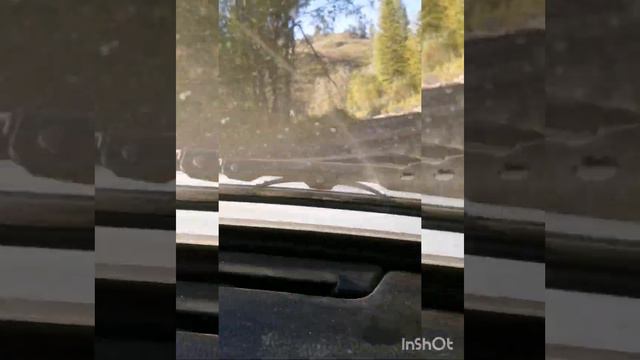 Путешествие по ВКО через Старо-австрийскую дорогу 04.09.2021г. смотреть онлайн