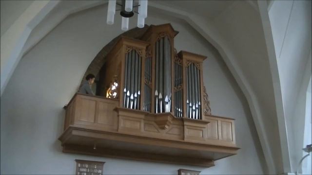 Gerard Botter-Psalm 85 смотреть онлайн