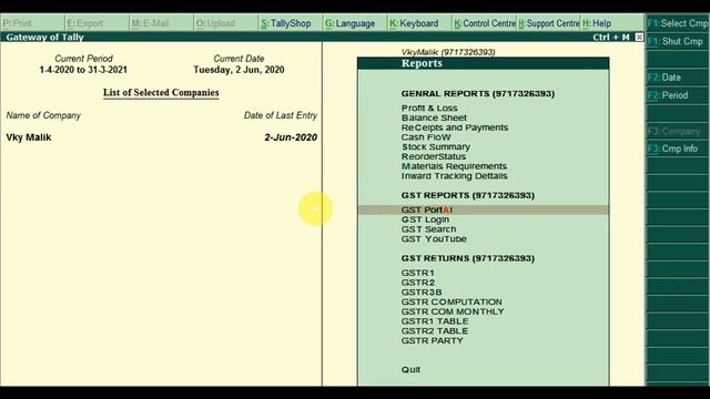 Tally TDL | GST Report TDL in Tally ERP 9 | Download Free TDL Files For Tally ERP 9 смотреть онлайн
