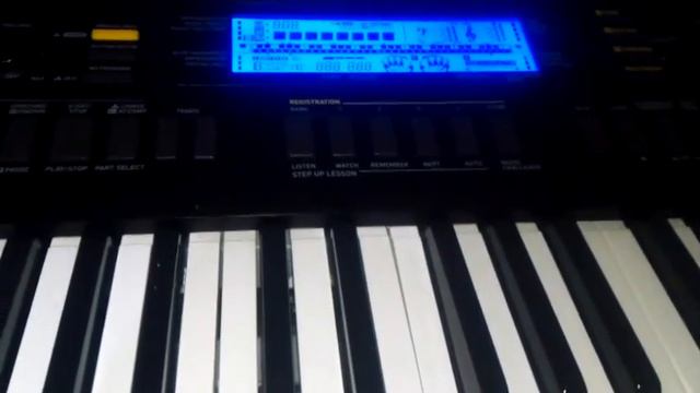 Casio WK 240 / Ctk- 4400