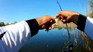 Ловля карася на мормышку. Обзор спиннинга Dayo Prestige CX-4 198 0.2-0.8 Travel.