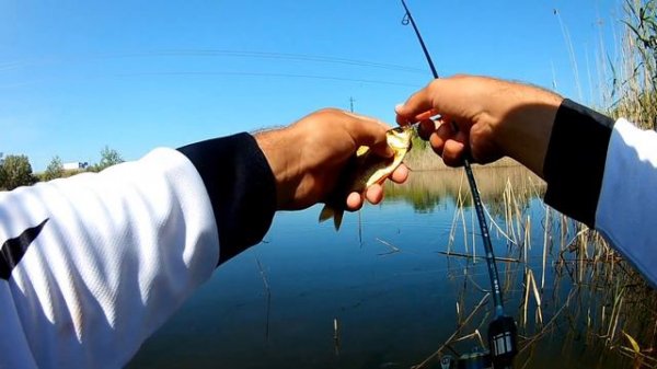 Ловля карася на мормышку. Обзор спиннинга Dayo Prestige CX-4 198 0.2-0.8 Travel.