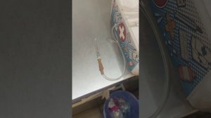 Подкожная капельница коту