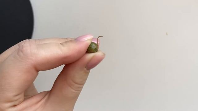 Как закрутить пин в колечко смотреть онлайн