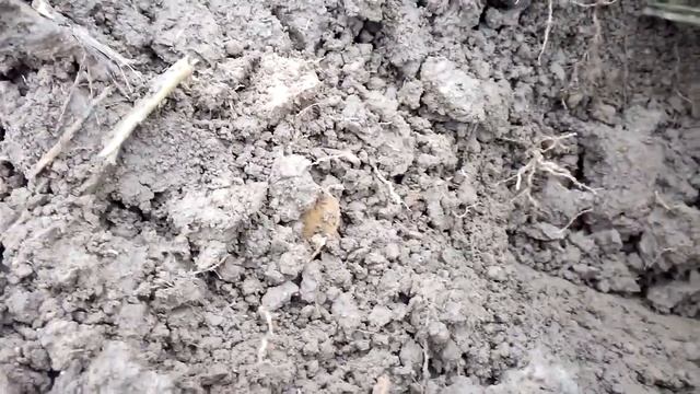 день советских монет смотреть онлайн