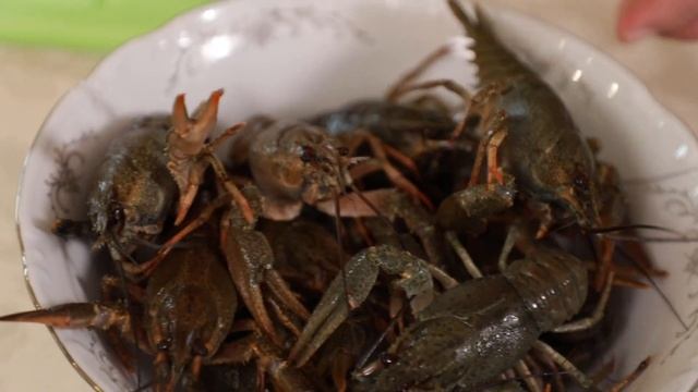 Рыбный пирог смотреть онлайн