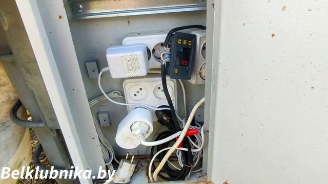 Цветение Купчихи, проблемы с розеткой Xiaomi + Бонус. Belklubnika.by смотреть онлайн