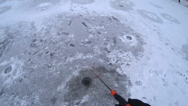 СУДАК и ЩУКА на ВИБЫ (ратлины) - УДАЧНО ОТКРЫЛСЯ НА РЕКЕ! Зимняя рыбалка! Ловля хищника со льда! смотреть онлайн