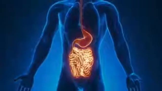 Функциональное питание FITLINE, базовый набор. В чем фишка? смотреть онлайн