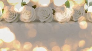 Футаж Белые розы в золотом боке