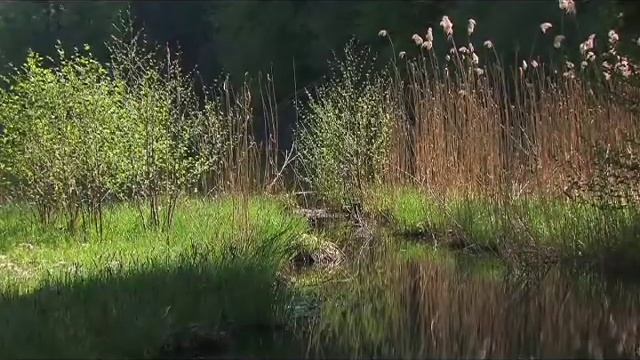 Татарская народная песня смотреть онлайн