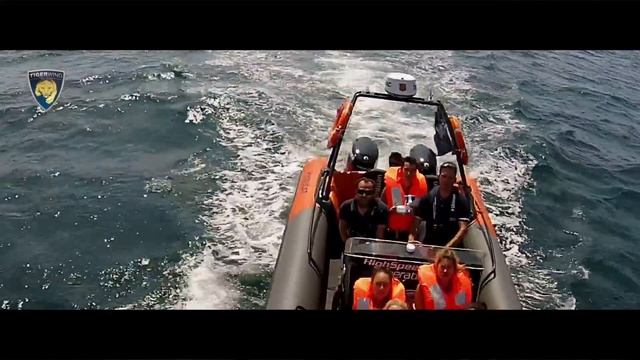 TIGERWING HYDROFOIL TECHNOLOGY- ATLANTIC DRONE VIEW смотреть онлайн