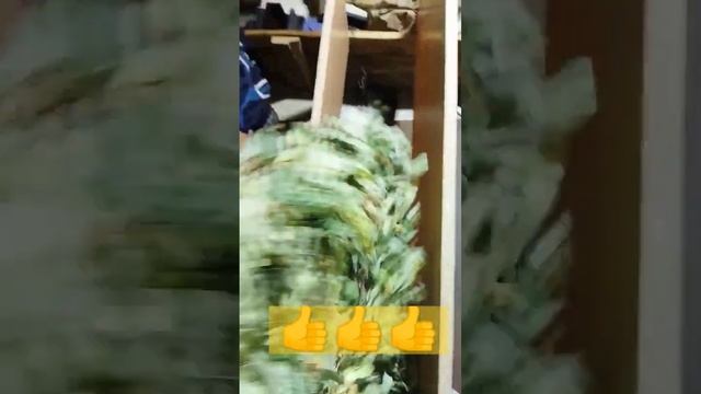 Веники с травами.Как придать красивую форму веникам? Придумал одну рабочую идею... Пробуем смотреть онлайн