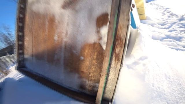 СЕРЕДИНА ДЕКАБРЯ, КАК ЗИМУЮТ ПЧЁЛЫ, НА ЧТО ОБРАТИТЬ ВНИМАНИЕ ДЛЯ ЛУЧШЕЙ ЗИМОВКИ. смотреть онлайн