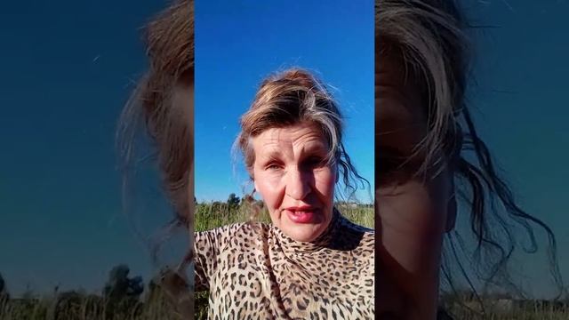 РЫБАЛКА НА КОТЛОВАНЕ.ОМСК. смотреть онлайн