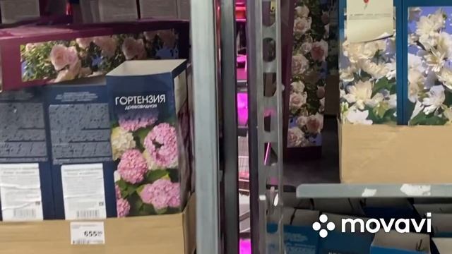 Искусство и Умение