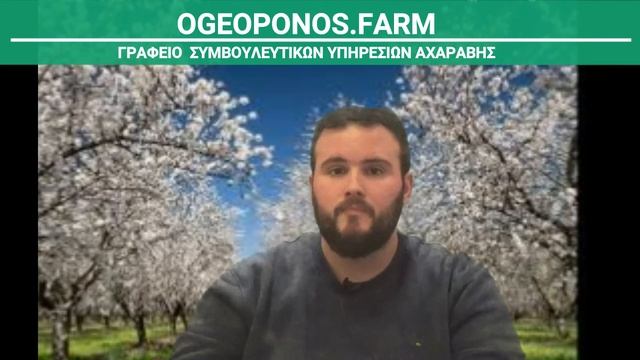 ΚΑΛΛΙΕΡΓΕΙΑ ΑΜΥΓΔΑΛΙΑΣ Prunus dulcis Almonds OGEOPONOS.FARM ΟΝΟΥΦΡΙΟΣ ΔΗΜΗΤΡΑΣ смотреть онлайн