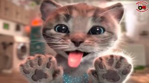 LITTLE KITTEN'S ADVENTURE cartoon funny video for kids cartoon about cats #MM