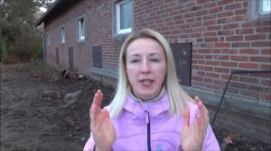 Выгодно ли содержать кур несушек? Бизнес идеи 2020 - куры несушки содержание, бизнес с нуля.