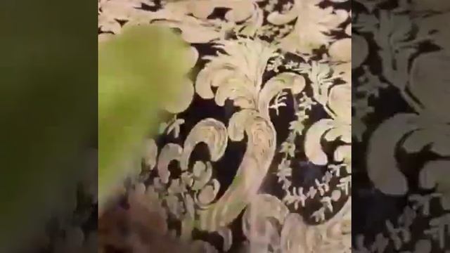 Как быстро убрать шерсть с мебели. Варежка Твист! смотреть онлайн