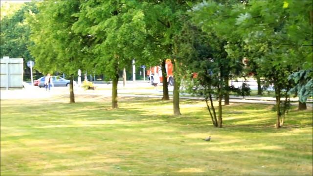 Trąby!! Alarmowo Pluton Gaśniczy 361[M]21, 361[M]26, 361[M]54 - JRG 1 Płock смотреть онлайн