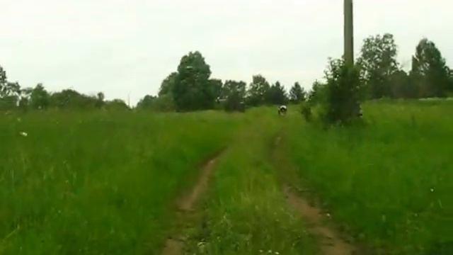926-колея вдоль озера Середея,крс-крупный рогатый скот смотреть онлайн