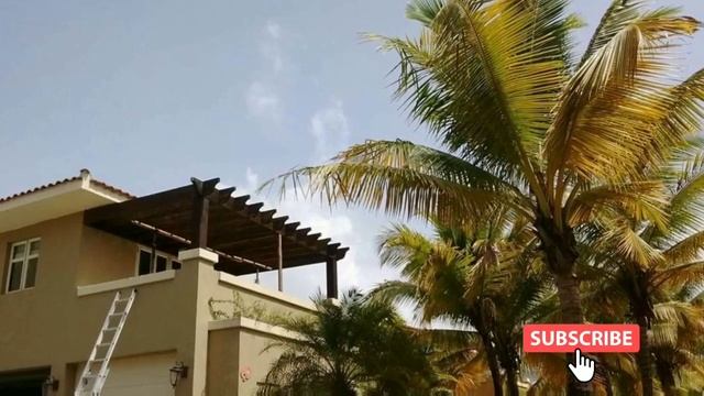 #pergolato (Diseños en cobertizos de madera) Diseños modernos en pergolas de madera Para patios ??? смотреть онлайн