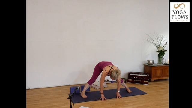 Yang meets Yin Yoga mit Petra - Donnerstag 29.Juli 2021 смотреть онлайн