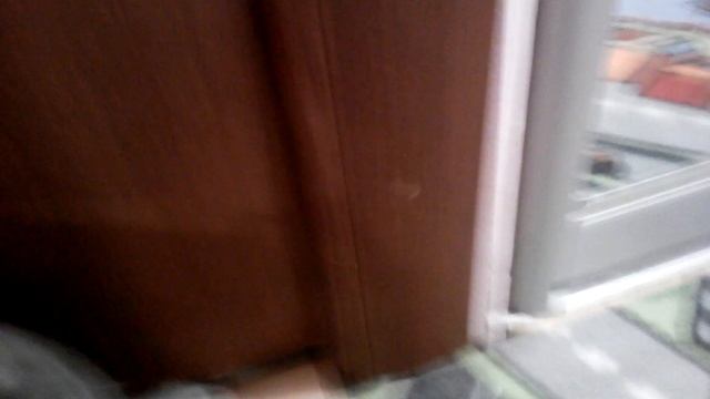 Как ухаживать за котом смотреть онлайн