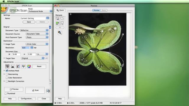 Scanning using the Epson Software смотреть онлайн