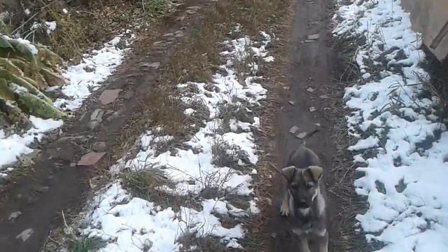 Выходной день. смотреть онлайн