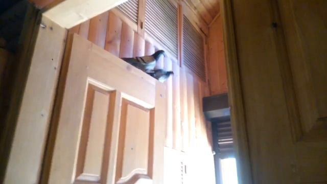 заочное отпевание ,,Всех скорбящих радость'' (Берковцы) 05.05.2021 смотреть онлайн