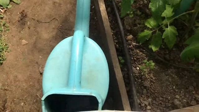 #КАПЕЛЬНЫЙ #ПОЛИВ #БЫСТРО #СВОИМИ #РУКАМИ #ДОЛЖЕН #СДЕЛАТЬ #КАЖДЫЙ #ПОДПИШИСЬ #ЛАЙК #DED #YTB #RUS смотреть онлайн