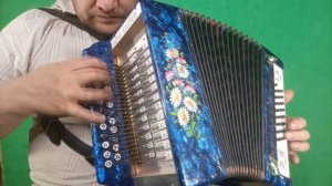 РАЗБОРЫ ПОД ГАРМОНЬ! ПОЛНО ВАМ СНЕЖОЧКИ!