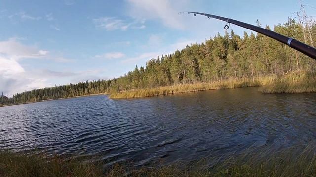 Непроходимые места в Карелии!Рыбалка на диком озере ! смотреть онлайн