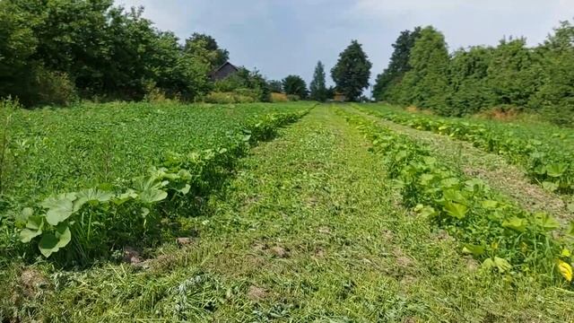 Как Сделать Полезное