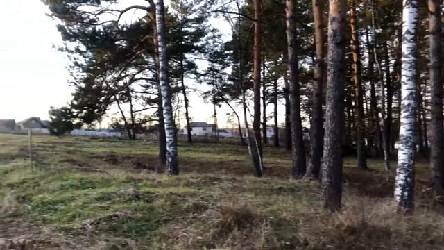 Не просто "уютный влог"/Открываю свои секретные желания 🥰 смотреть онлайн