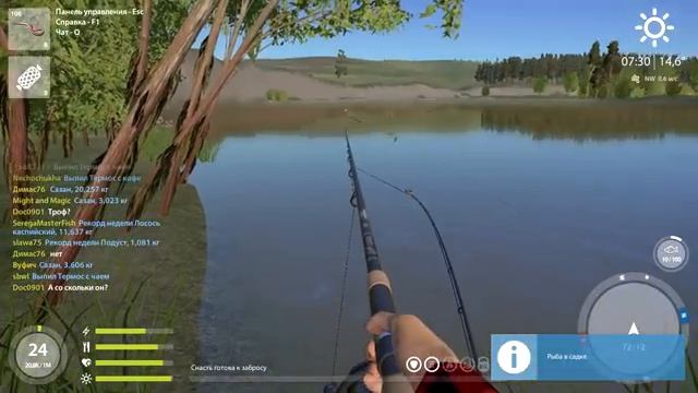 Фарм сазана на реке Сура • Русская рыбалка 4 • Ловля фидером