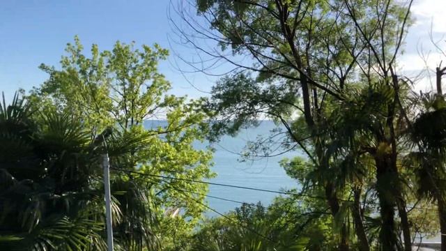 27.05.2020 Погода в Сочи в мае. Смотри на Чёрное море каждый день. смотреть онлайн